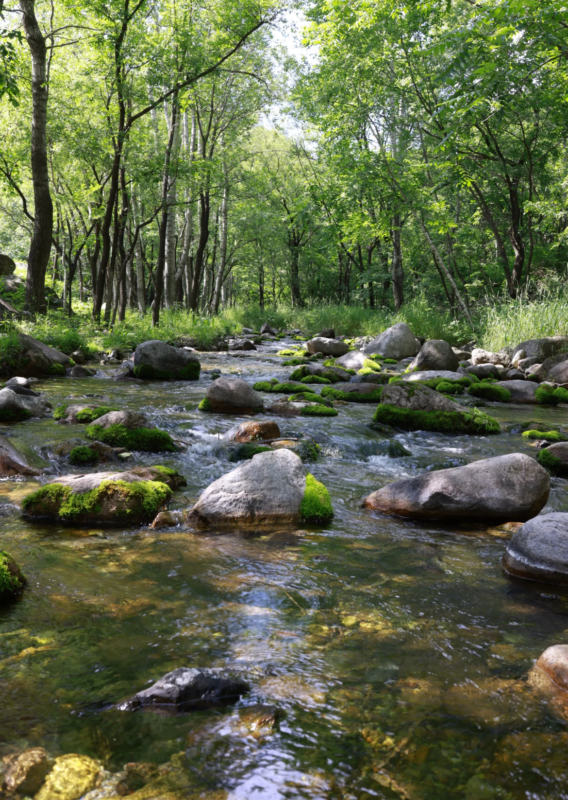Yudu Mountain Scenic Area